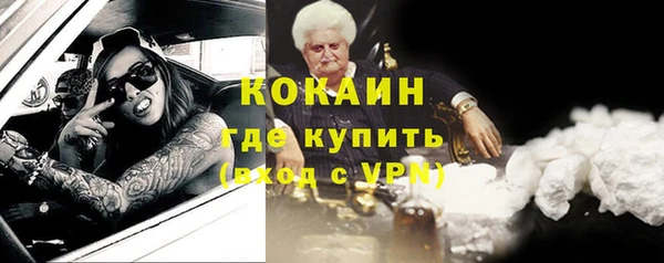 spice Ельня