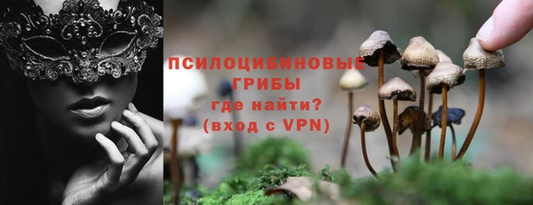 мдпв Дмитровск