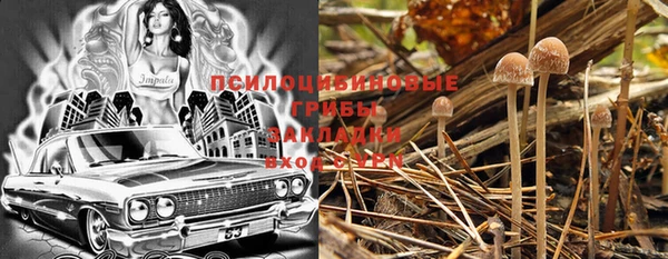 винт Гусь-Хрустальный