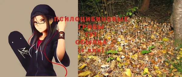 герыч Елизово