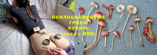прущие крисы Сясьстрой
