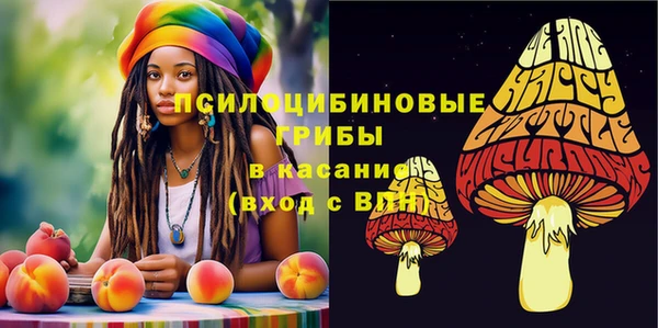 мдпв Дмитровск
