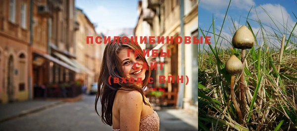 spice Дмитров