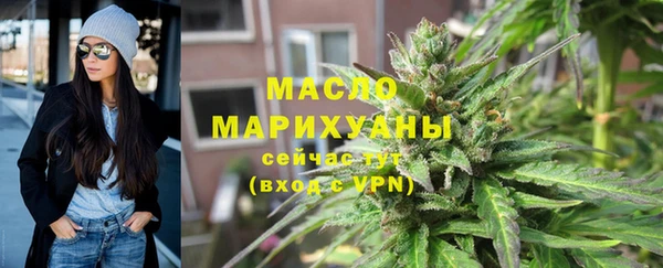 spice Ельня