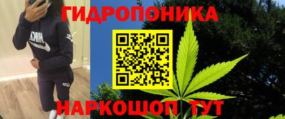 хмурый Гусь-Хрустальный
