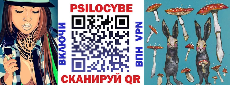 omg как войти  Кириши  Псилоцибиновые грибы MAGIC MUSHROOMS 