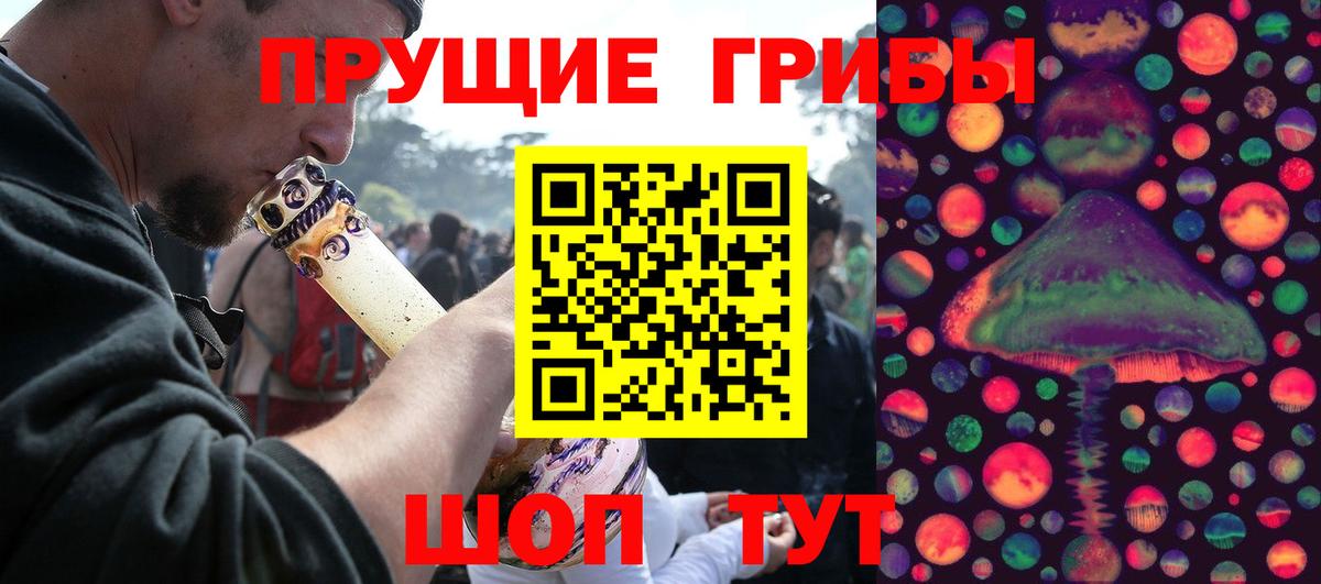 Кириши  Галлюциногенные грибы ЛСД  как найти закладки  Вход с VPN  Псилоцибиновые грибы Magic Shrooms 